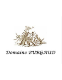 Bernard Burgaud